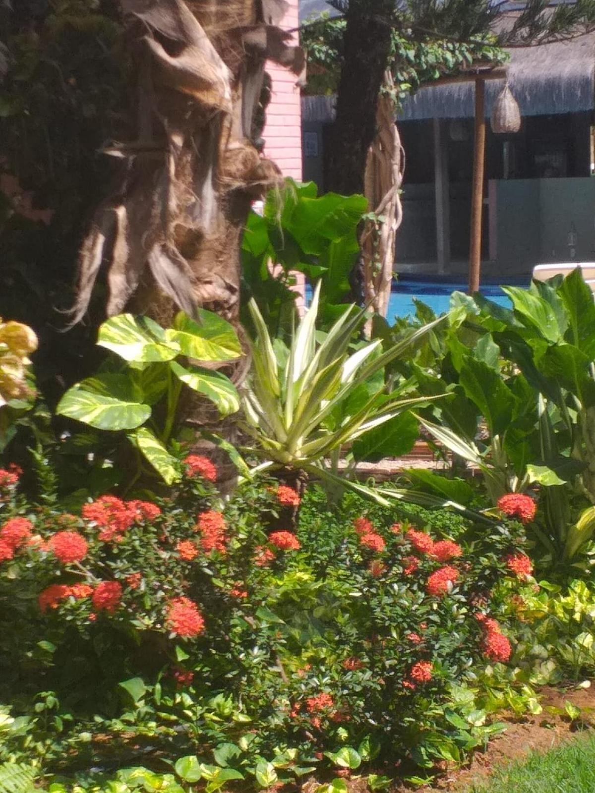 Chale Tulipa - Centro Praia Da Pipa Praia de Pipa Buitenkant foto